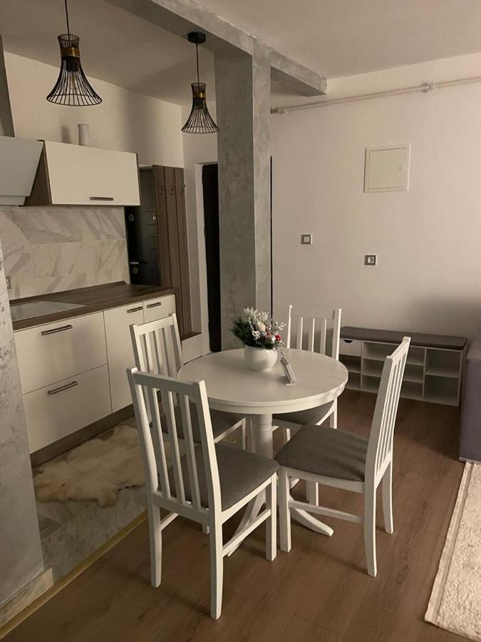 Sofia Loft Apartman Bistriţa Kültér fotó